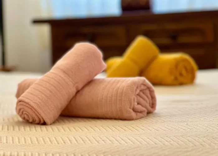 Cozy 350 Meters From The Beach. * Torrevieja